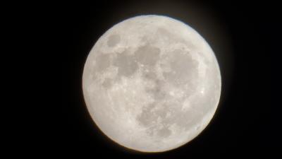 1500_524cff54daaaf92d557090b8b.jpg